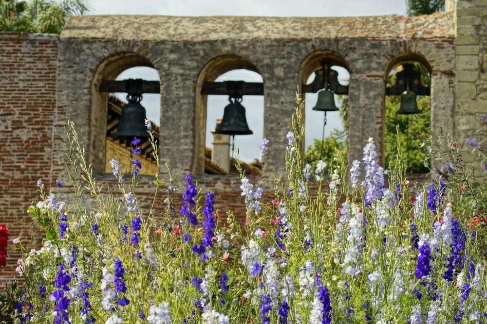 3 personnes debout sur le champ de fleurs violettes pendant la journée