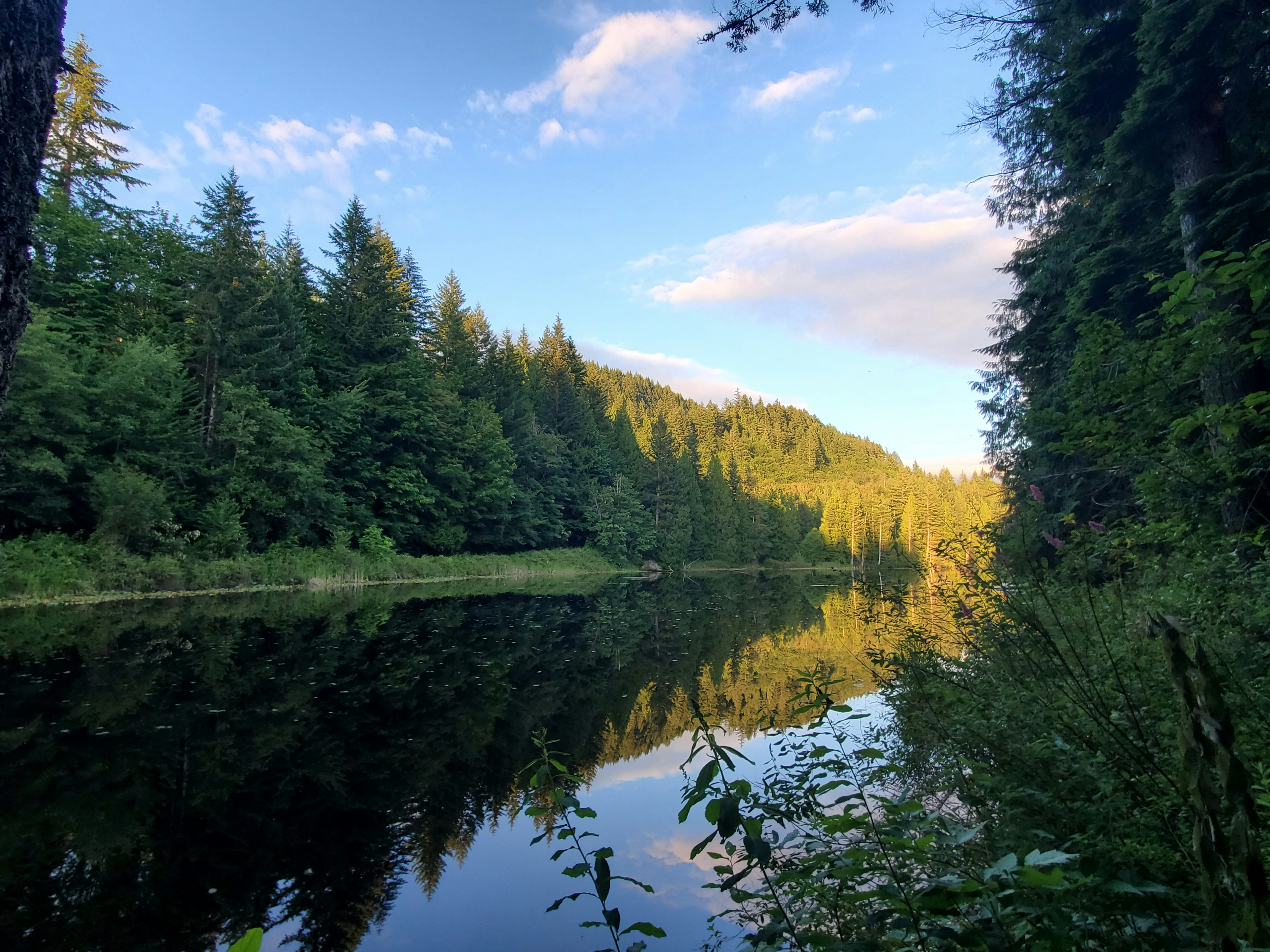 Photo by prolandscapes