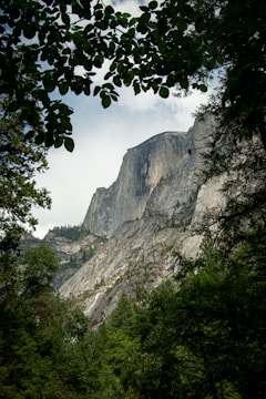 A massive granite mountain rises majestically above a lush forest. The granite face is sheer and imposing, with its rugged texture and subtle color variations. The scene is framed by leaves overhead, creating a natural border that adds depth and perspective to the composition. The sky is overcast, adding a moody atmosphere to the landscape.