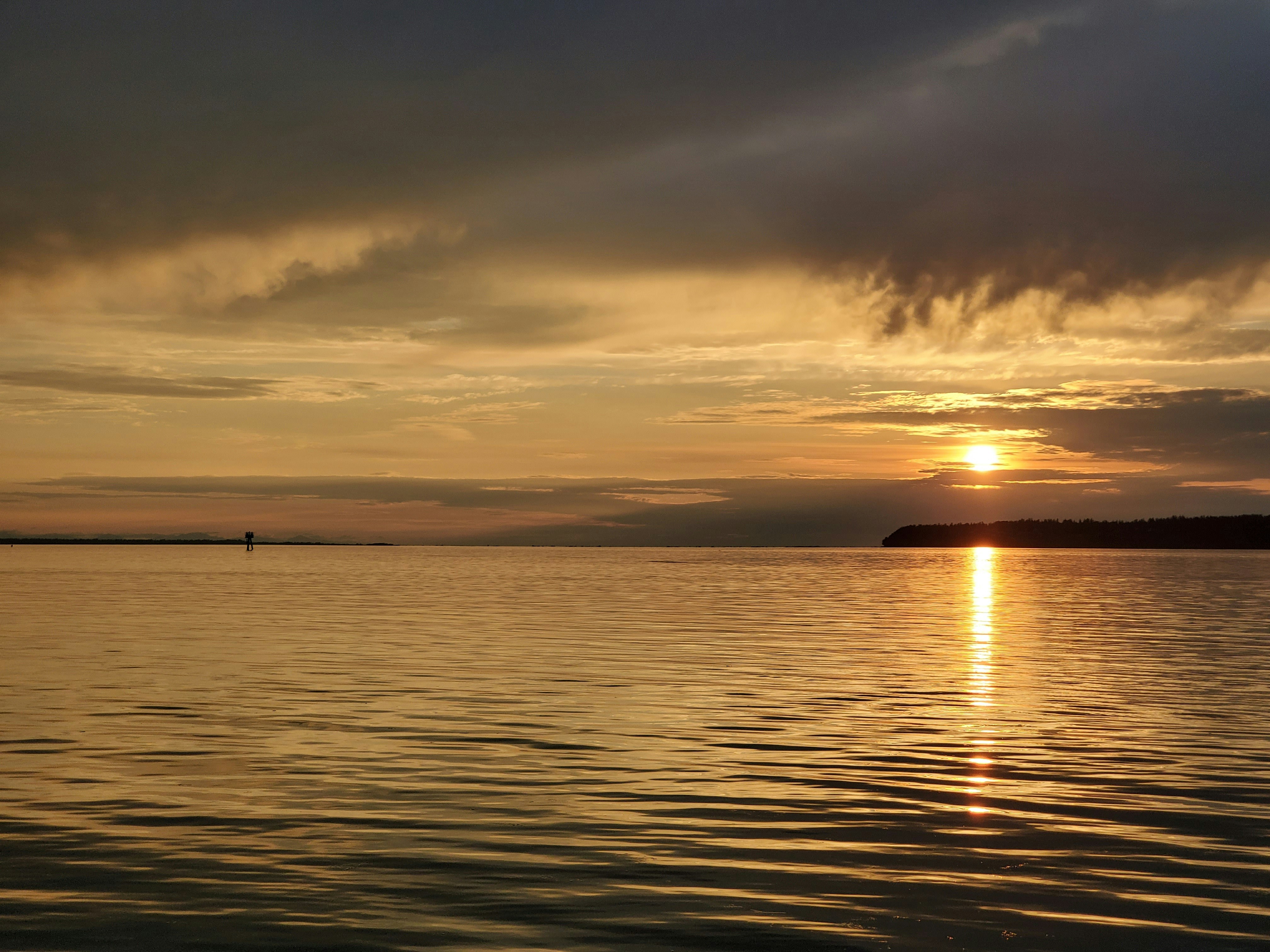 Photo by prolandscapes