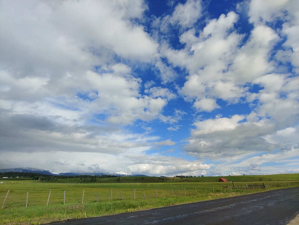 Campo di erba verde sotto il cielo blu e le nuvole bianche durante il giorno