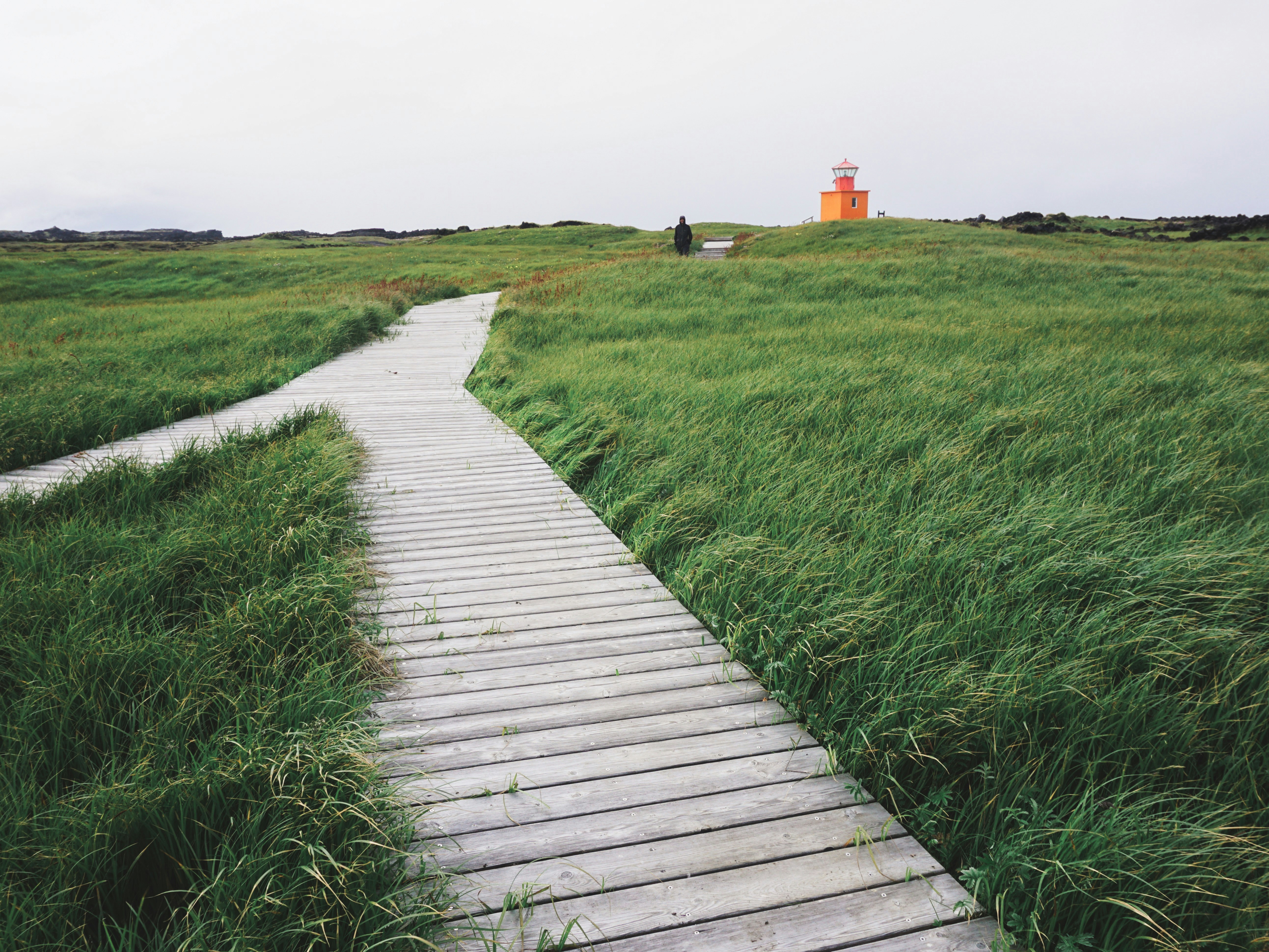 Photo by curiouscaptures