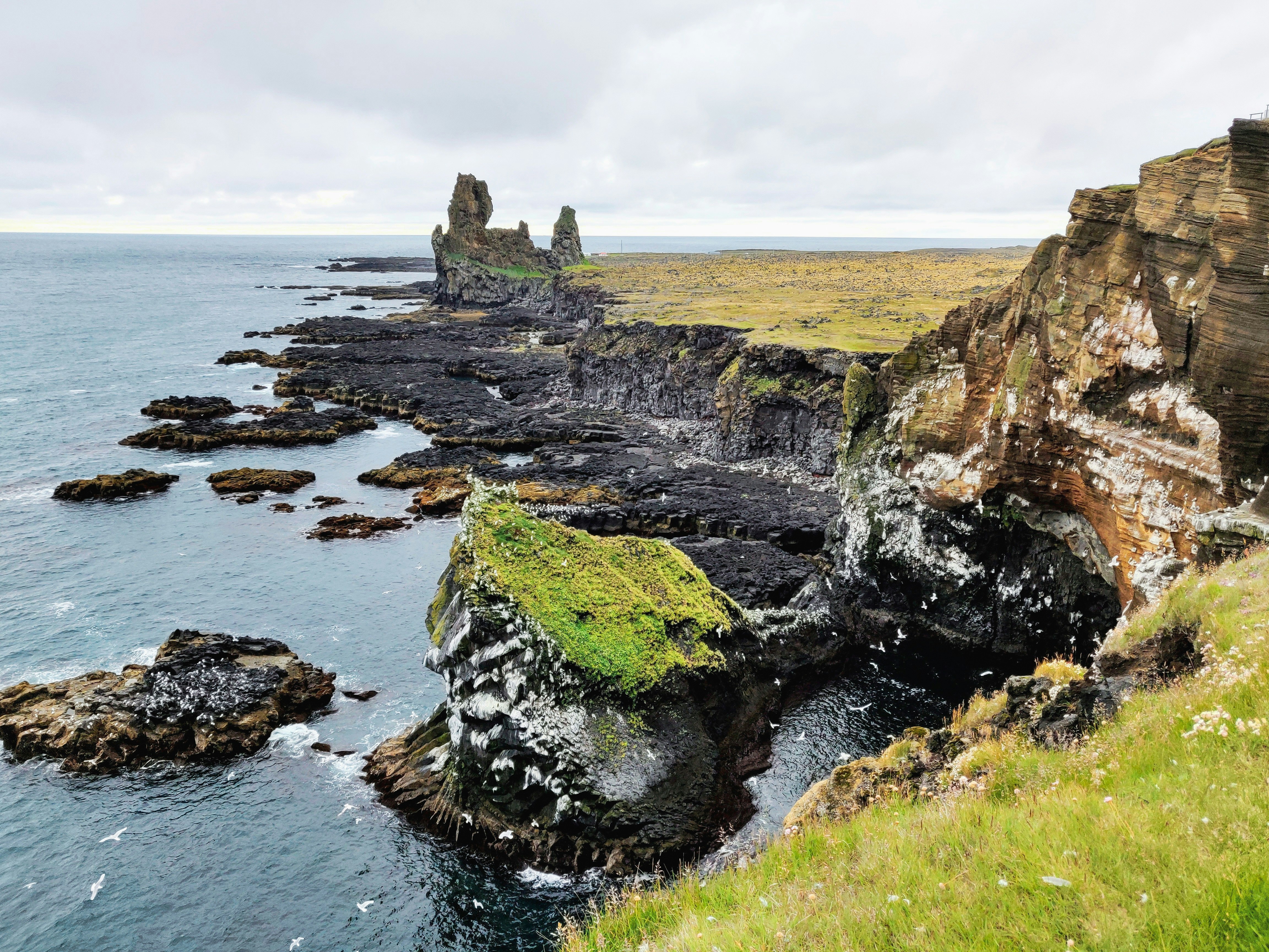 Photo by curiouscaptures