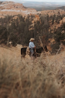 A rugged cowboy riding a horse through a dusty desert landscape at sunset.