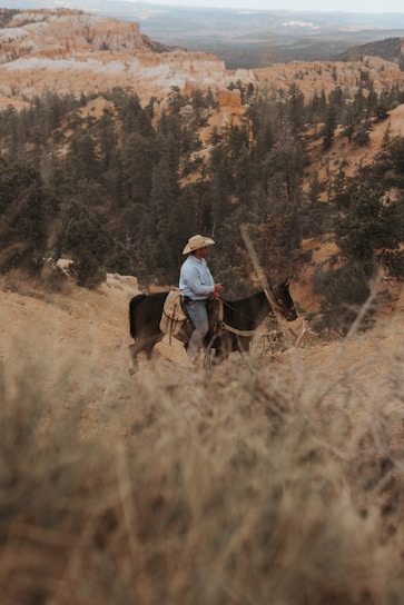 A rugged cowboy riding a horse through a dusty desert landscape at sunset.