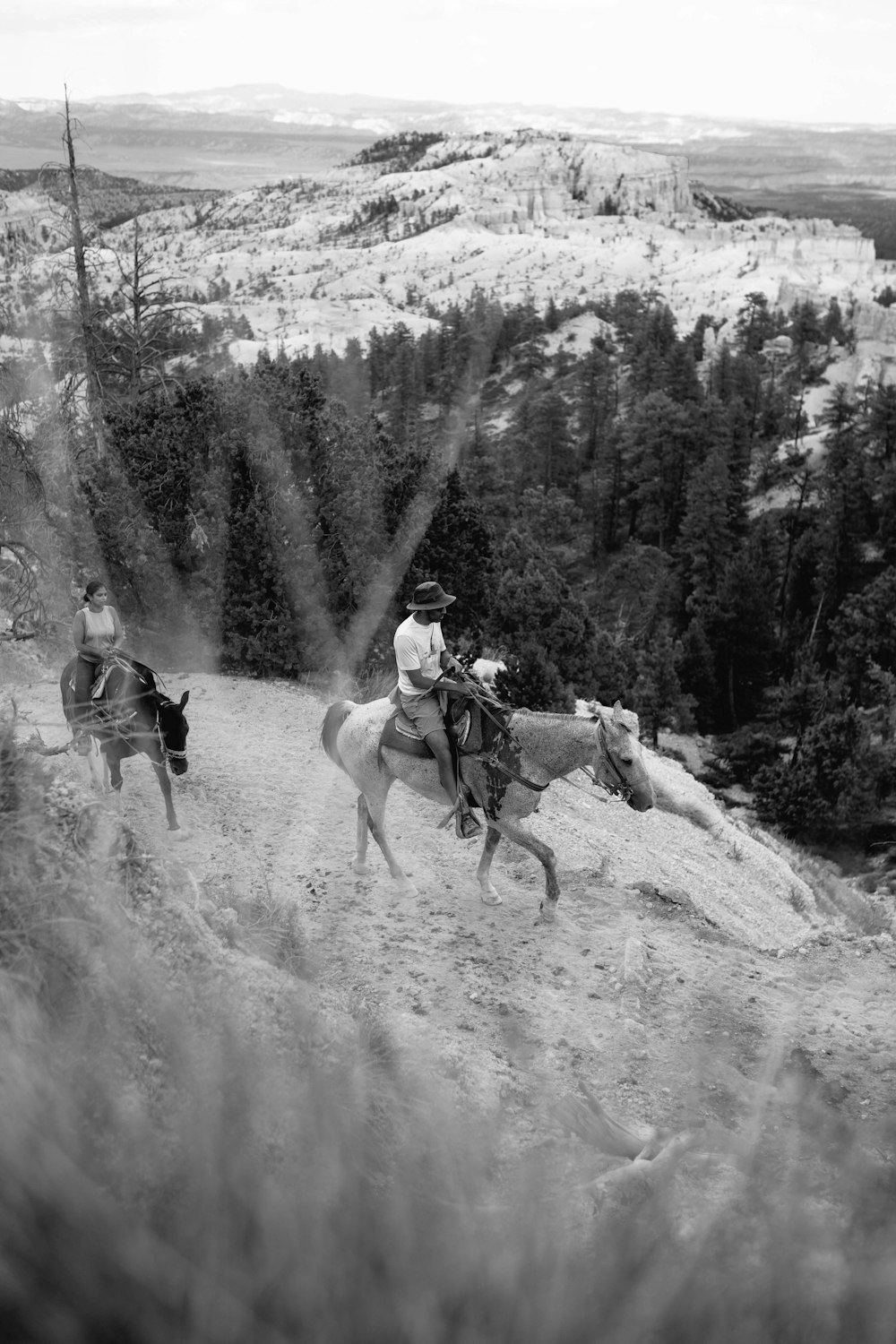 grayscale photo of people riding horses on dirt road