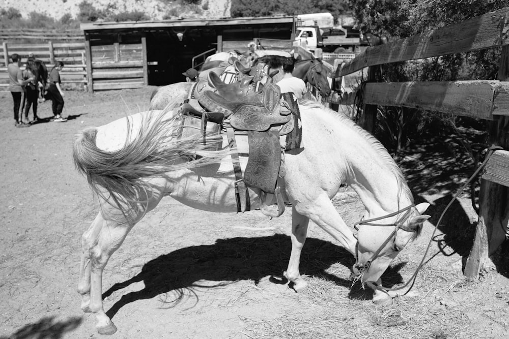 grayscale photo of man riding horse