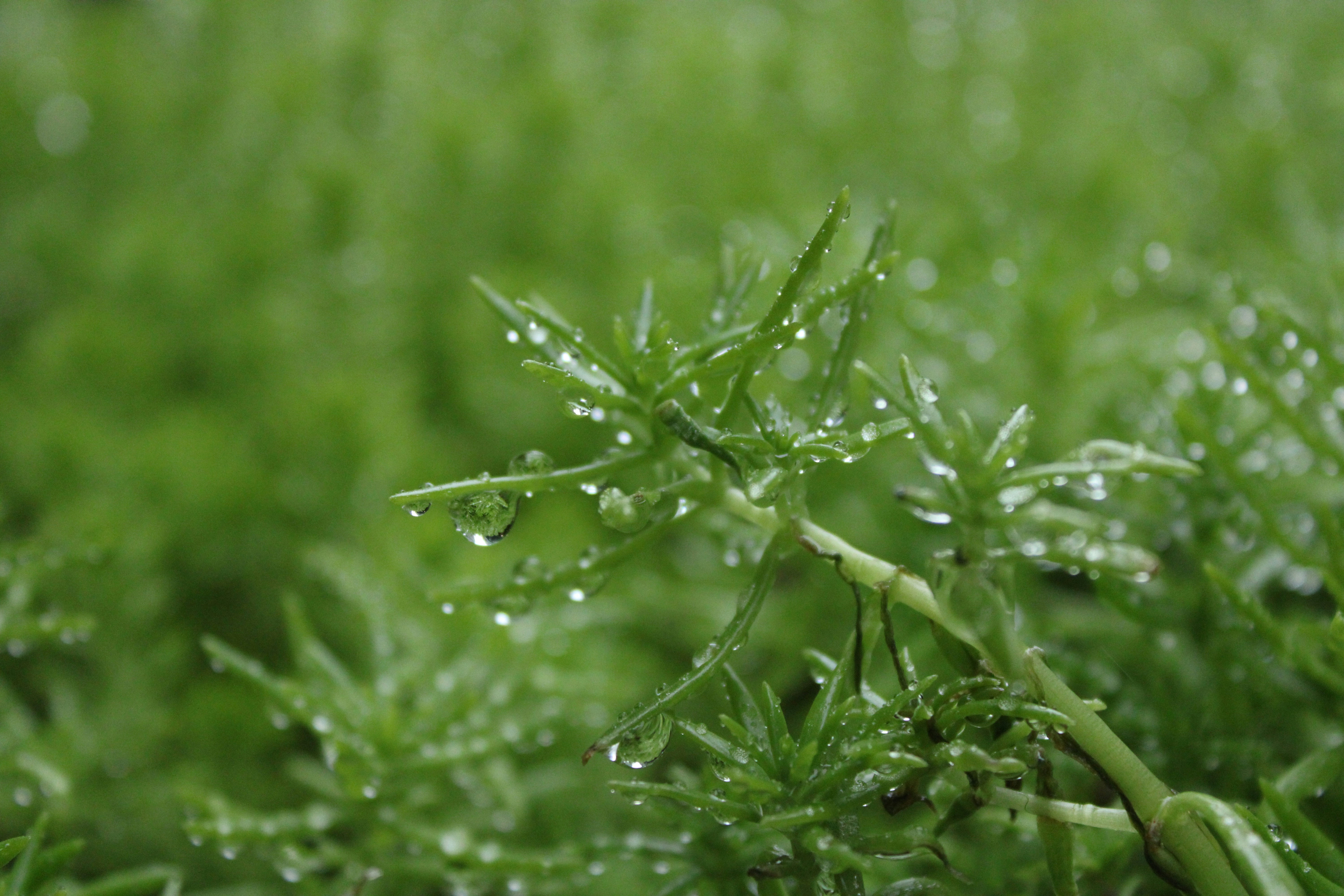 Photo by dynamite_luke