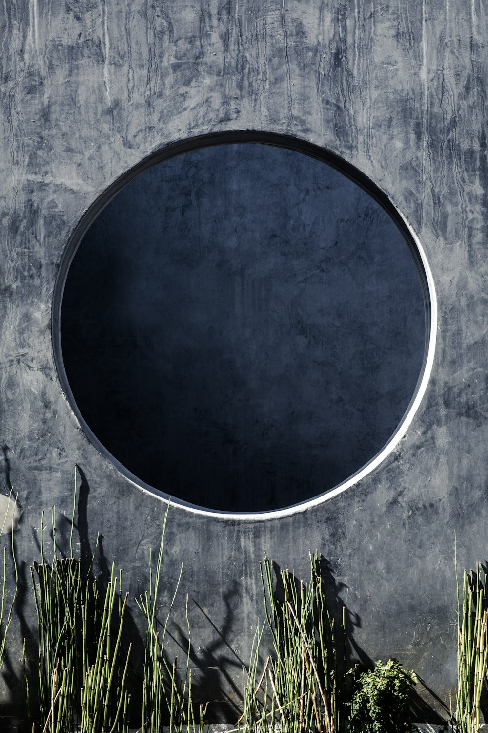 round black and white wall decor