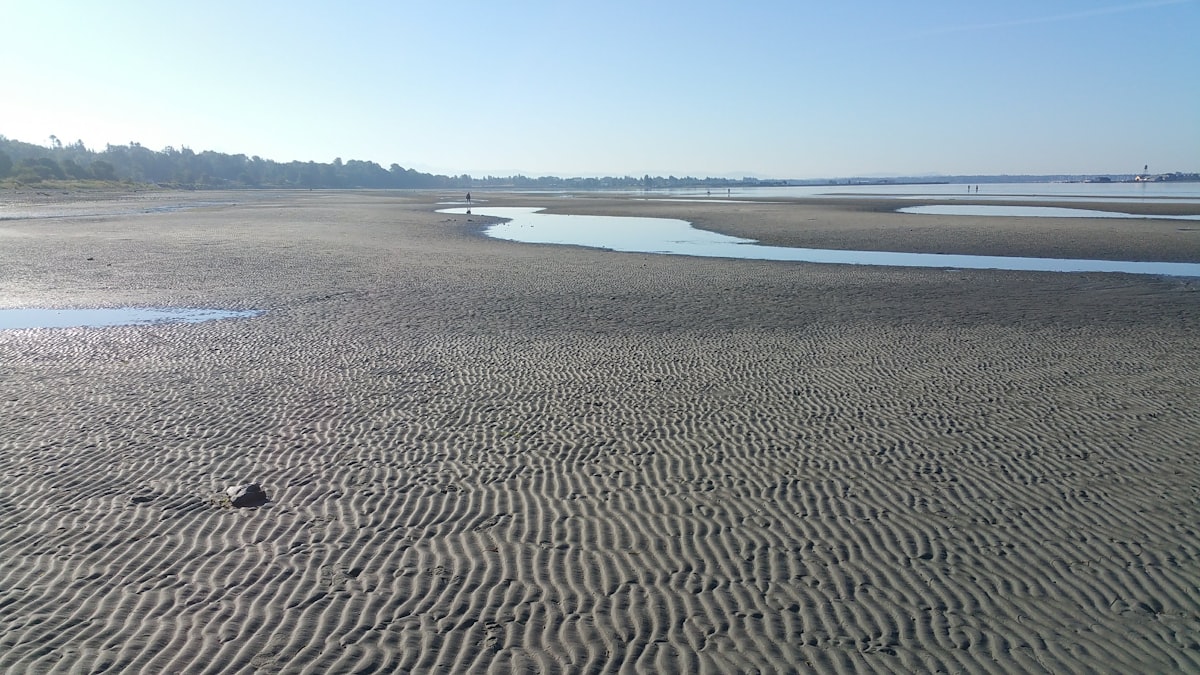 White Rock Market Shifts: January 2026 Analysis