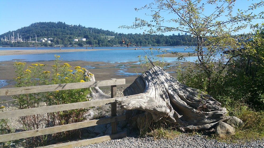 brown wooden fence near body of water during daytime