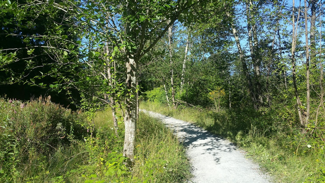 Forest photo spot Maplewood Flats Conservation Area Coquitlam