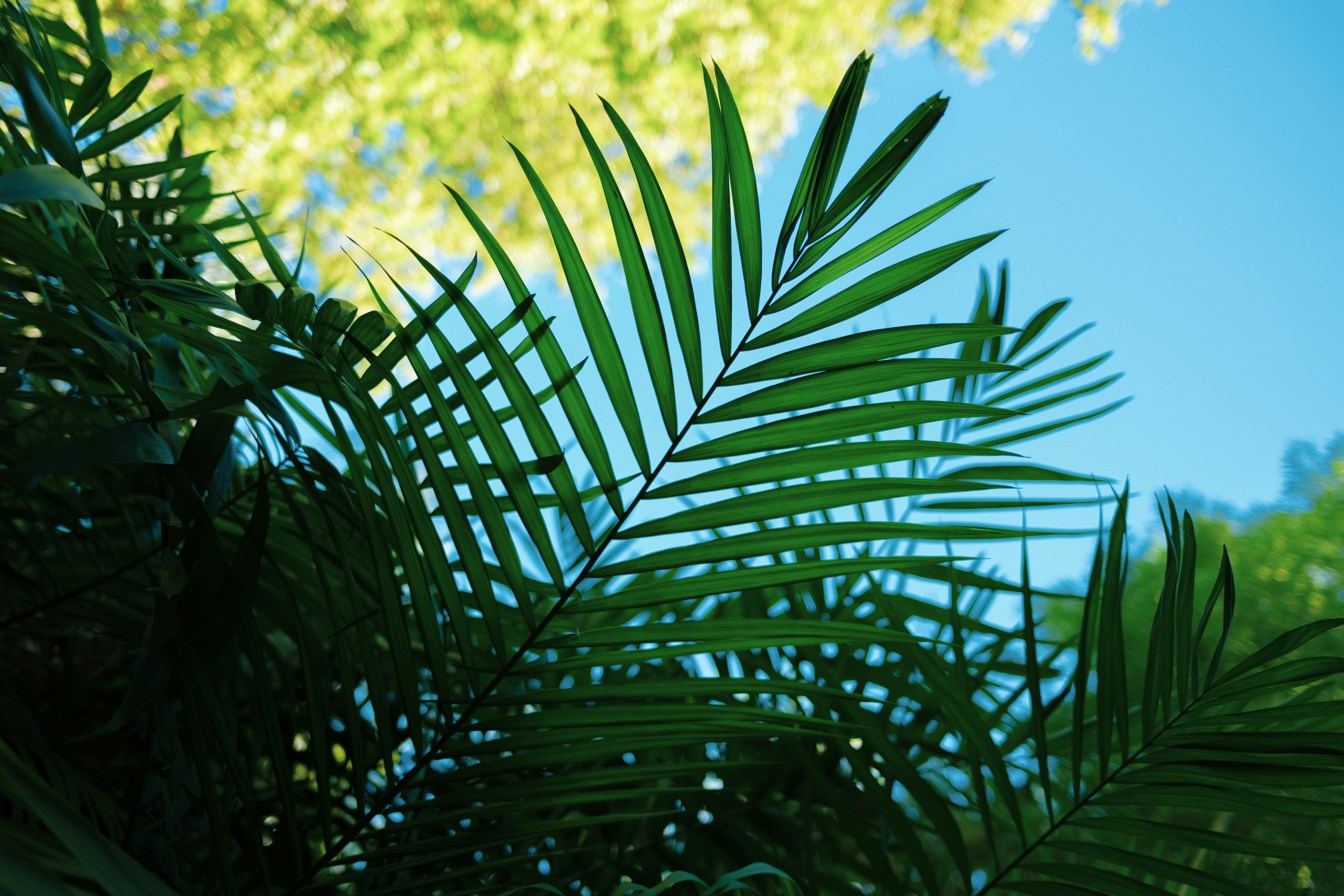 Photo by fromaugusto