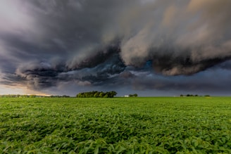 A vast green field extends towards the horizon under a dramatic and dark stormy sky. Large, swirling clouds dominate the scene, creating a stark contrast with the vibrant greenery below. Trees and small structures can be seen in the distance, emphasizing the scale of the approaching storm.