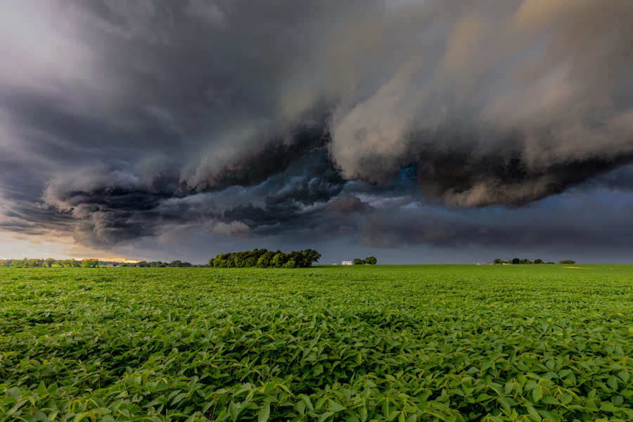 A shelf cloud rolling over a green field