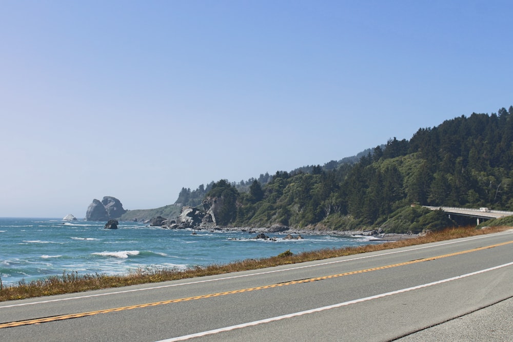 gray concrete road near body of water during daytime