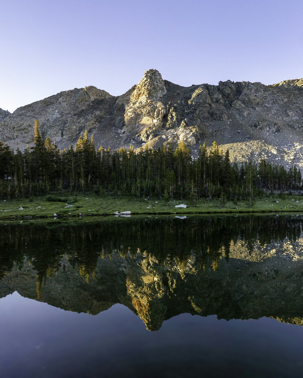 arbres verts près du lac et de la montagne pendant la journée