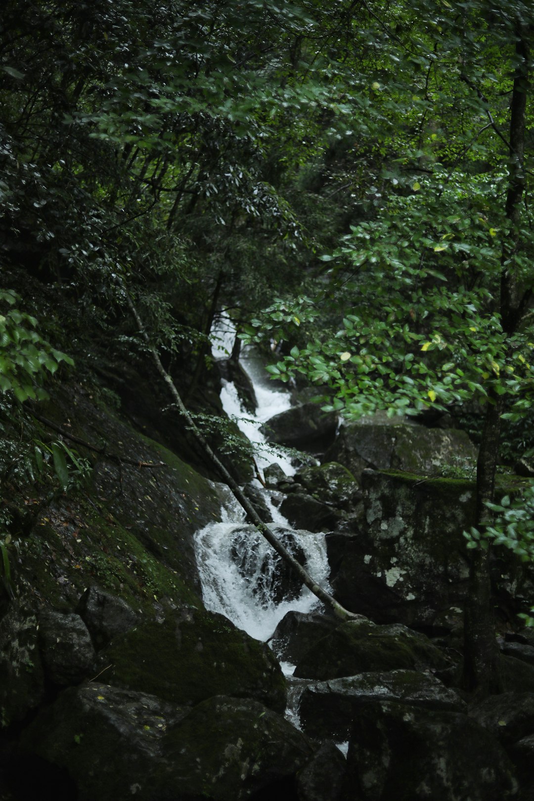 water falls in the middle of rocks