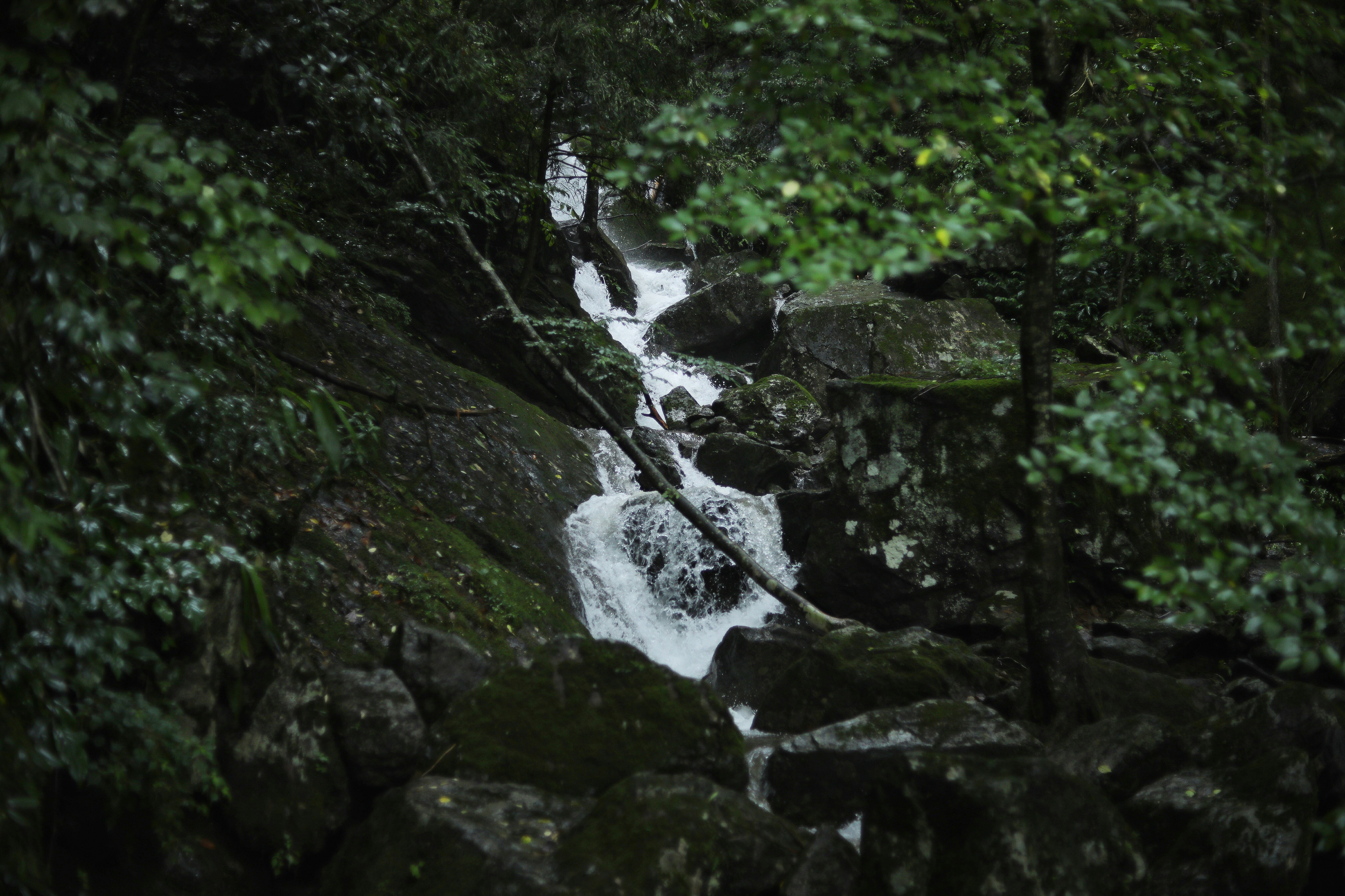 Photo by hduu1
