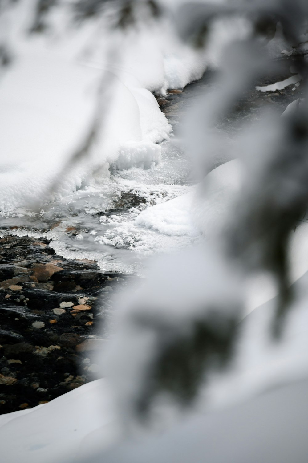 snow covered ground during daytime