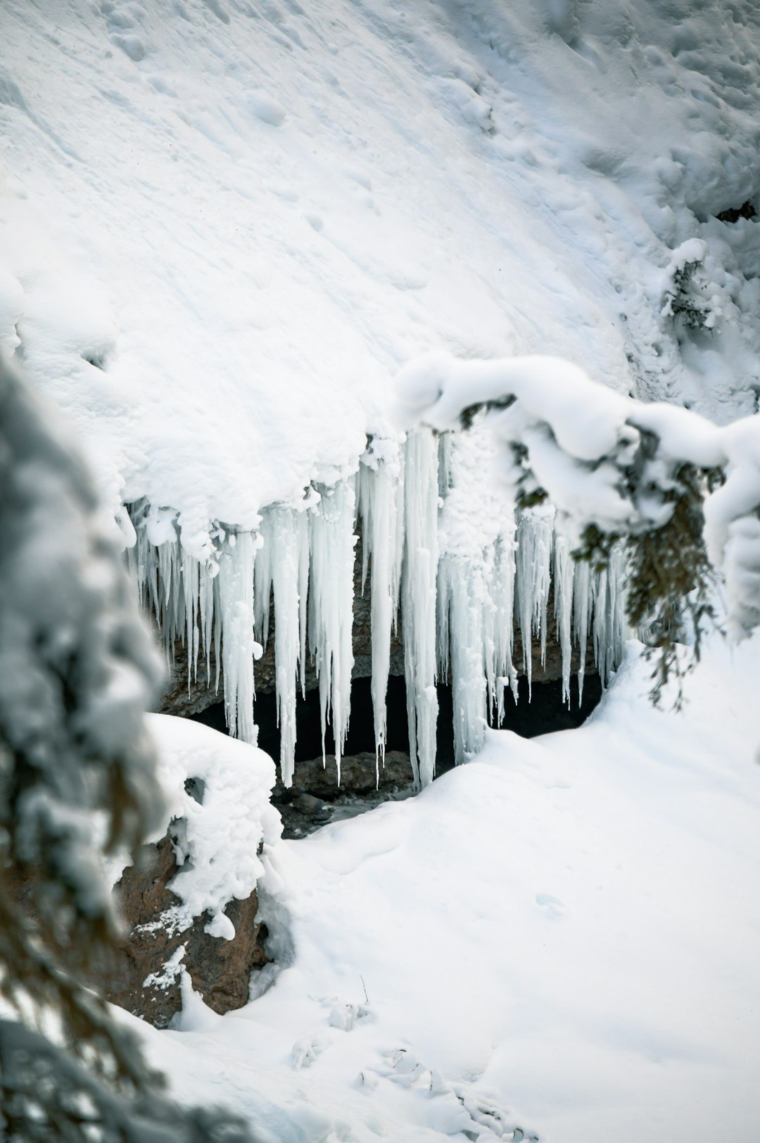 snow covered wooden fence during daytime