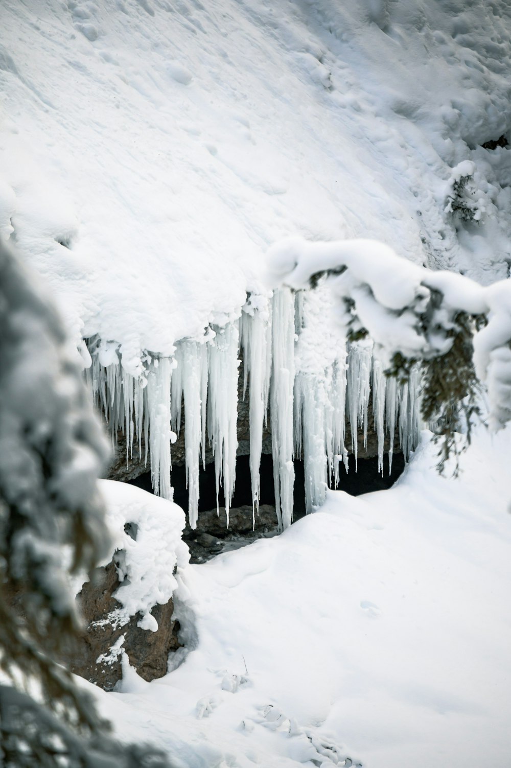 snow covered wooden fence during daytime