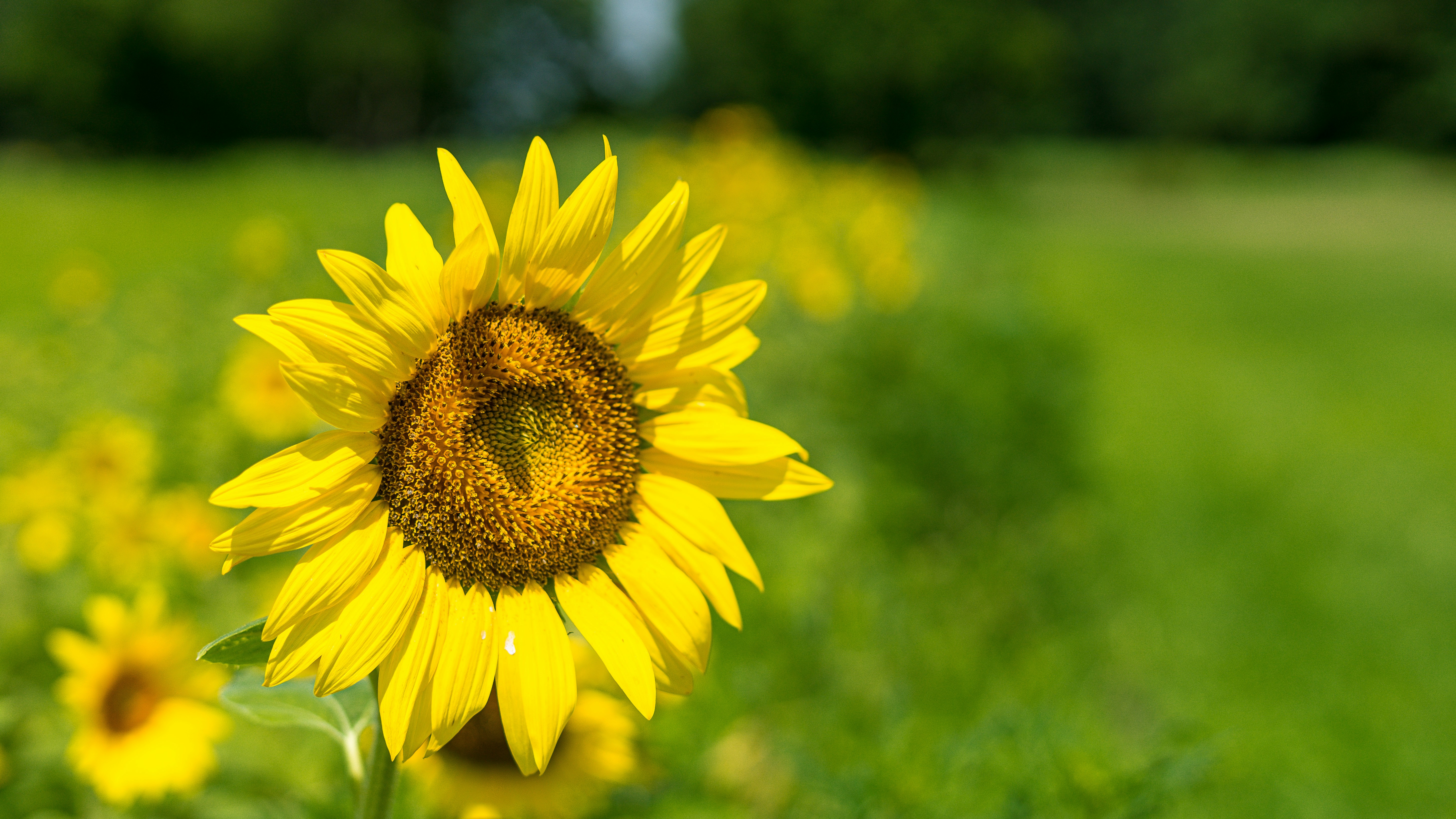 Photo by chrishardyphotography