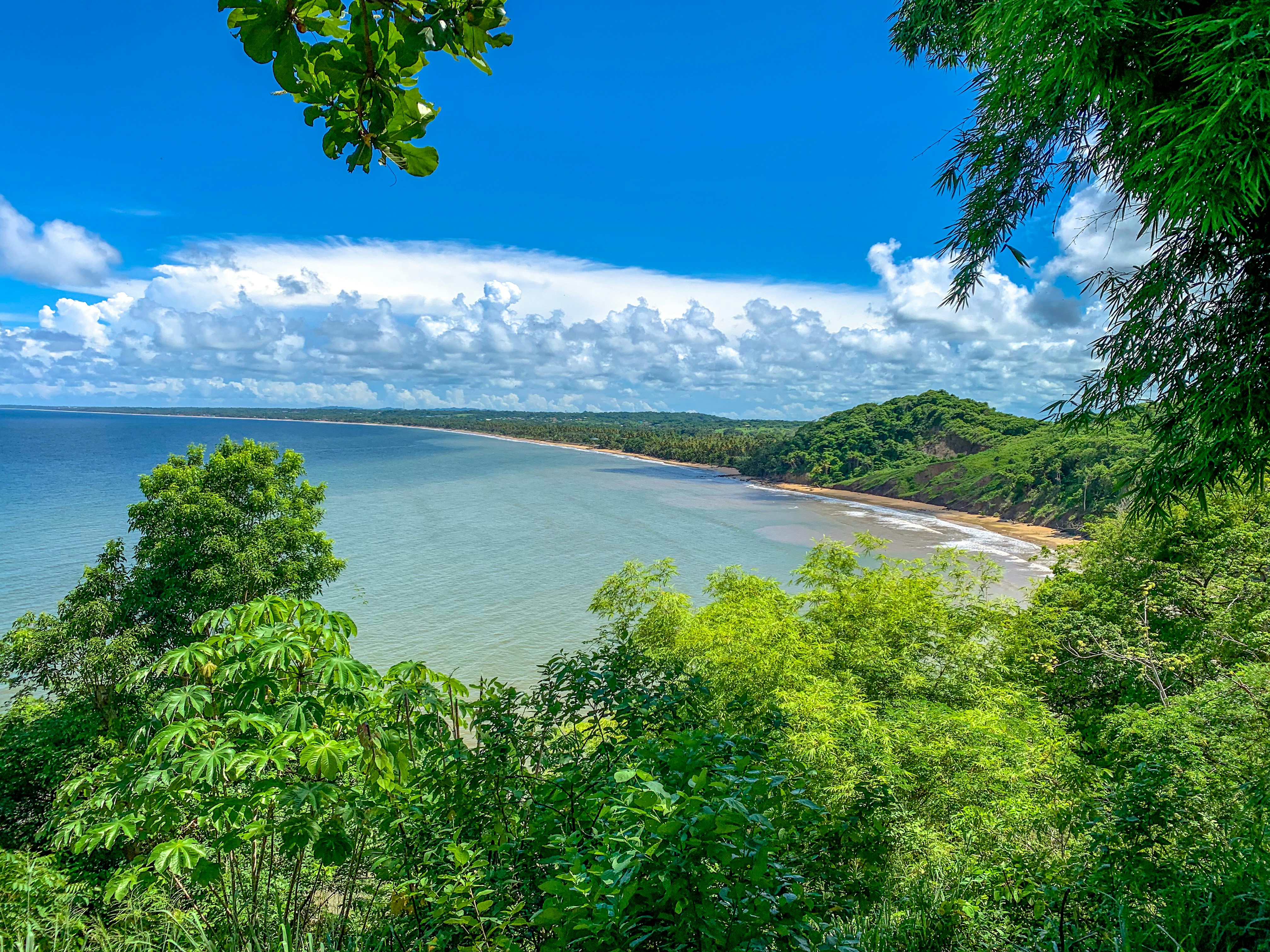 green trees near body of water under blue sky during daytime trinidad and tobago teams background
