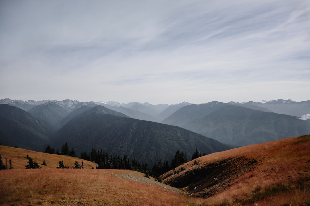 green trees on brown field near mountains under white clouds during daytime