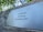 A metal plaque is mounted on a weathered wooden surface, bearing the inscription 'In Liefdevolle herinnering 1931 Martien 2007' in a serif font. The background consists of blurred green foliage, suggesting an outdoor setting.