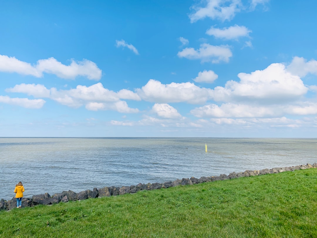 Shore photo spot Oostvaardersdijk Scheveningen