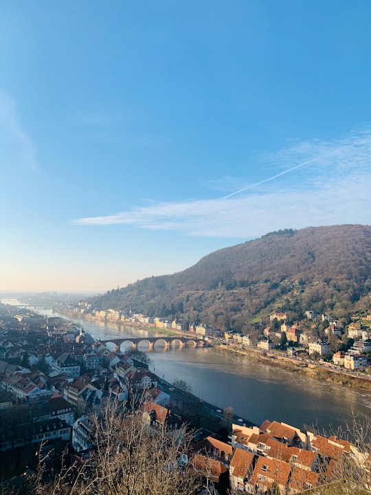 None in Heidelberg Germany