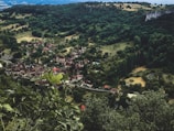 An aerial view of a small village nestled in a lush, green valley surrounded by dense forests and rolling hills. The village consists of a cluster of rustic houses with red rooftops and narrow winding roads. The landscape is rich with vegetation, featuring both cultivated fields and wild greenery. In the foreground, there's a large leafy plant, adding depth to the scenery.