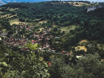 An aerial view of a small village nestled in a lush, green valley surrounded by dense forests and rolling hills. The village consists of a cluster of rustic houses with red rooftops and narrow winding roads. The landscape is rich with vegetation, featuring both cultivated fields and wild greenery. In the foreground, there's a large leafy plant, adding depth to the scenery.