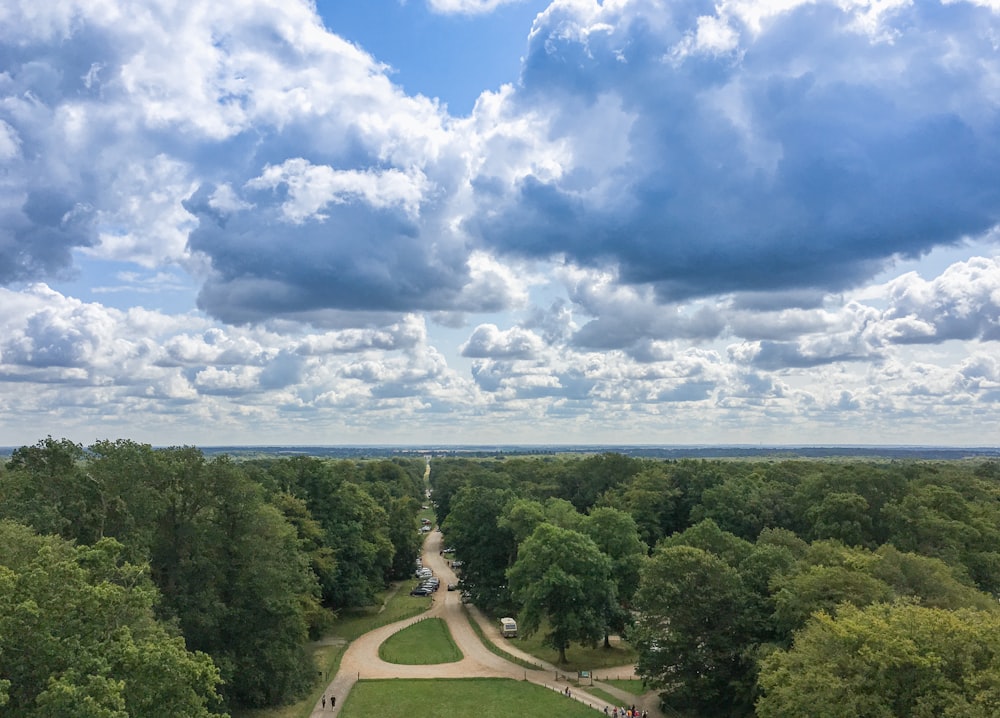 green trees under white clouds and blue sky during daytime