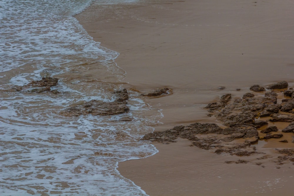 ocean waves crashing on shore during daytime