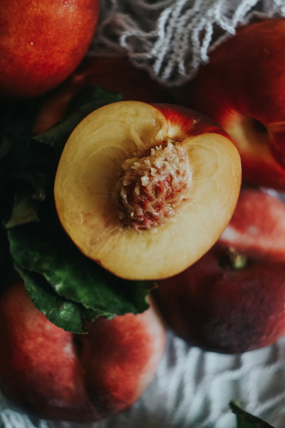 red and yellow fruit on green leaves