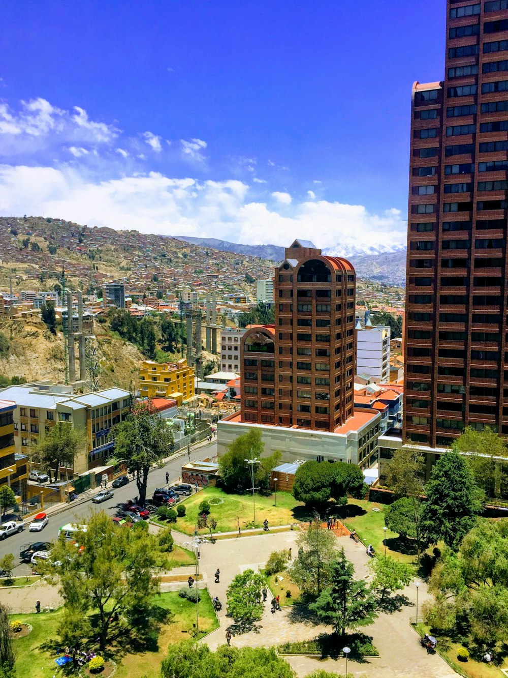 high rise buildings near green trees under blue sky during daytime