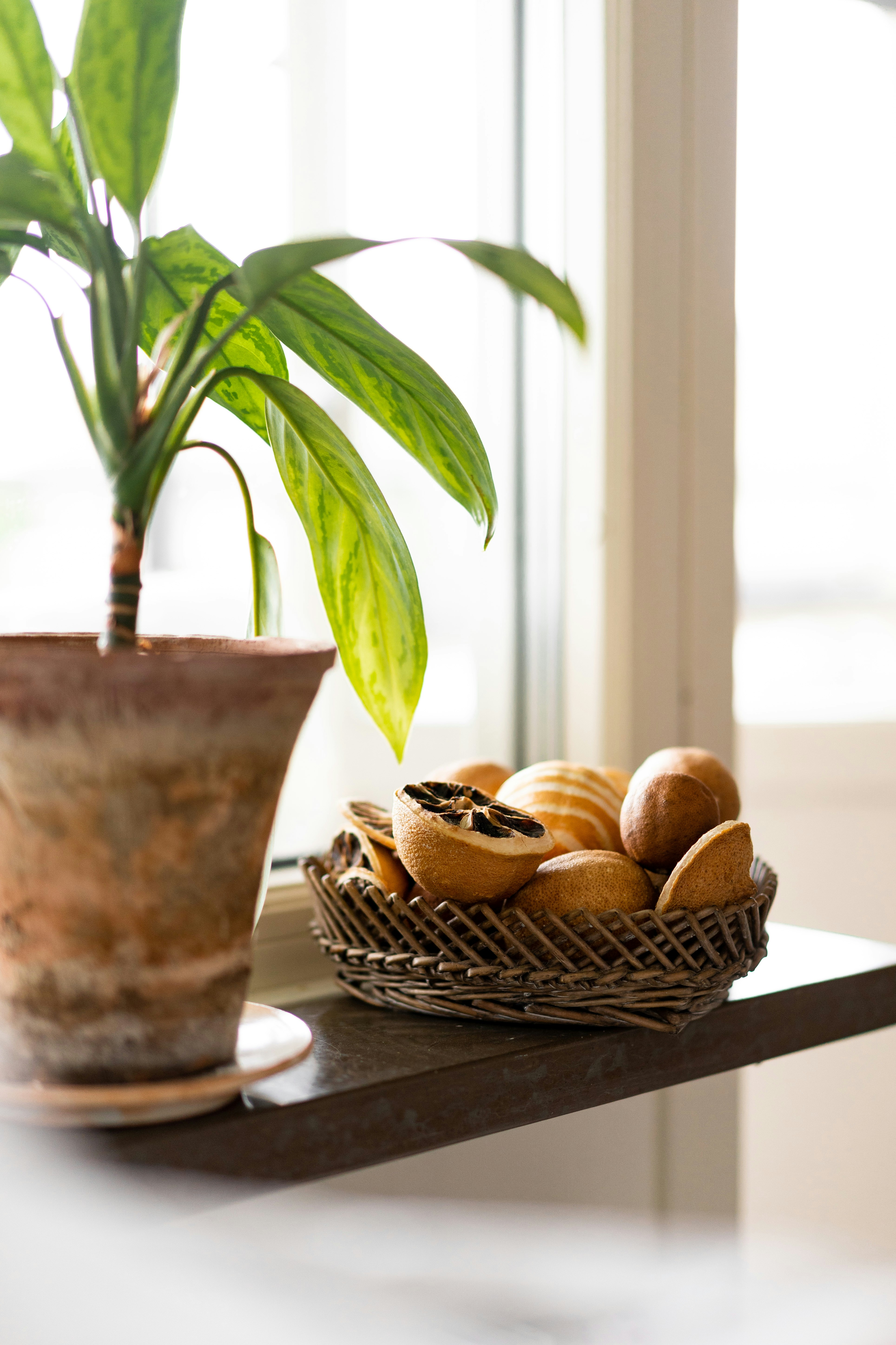 Photo by antonjphotos