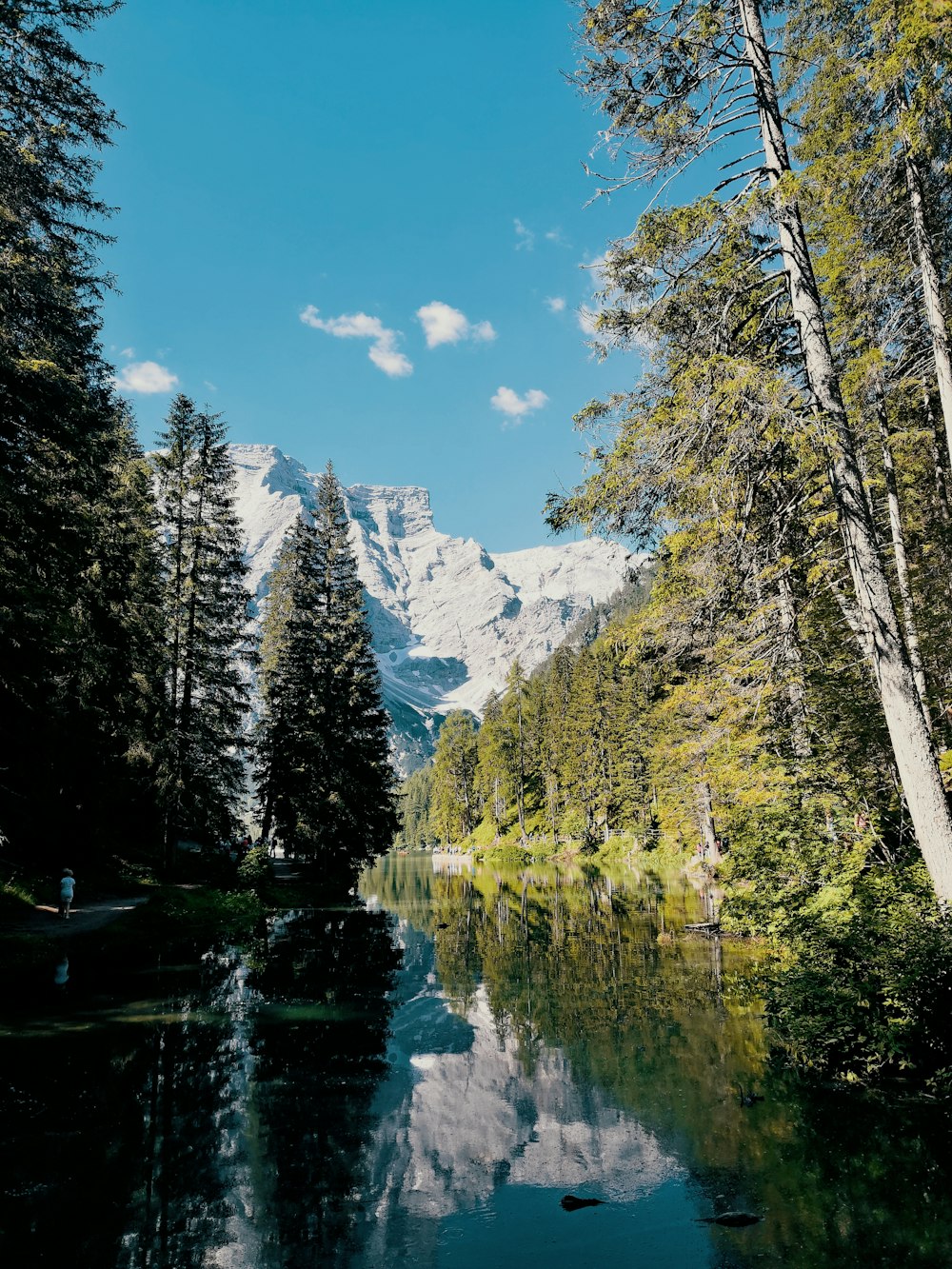 Grüne Bäume in der Nähe des Sees unter blauem Himmel während des Tages