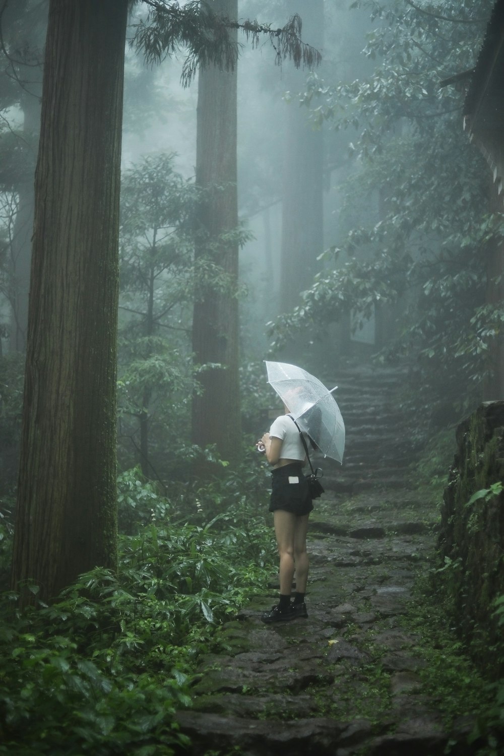 woman in white umbrella walking on pathway between trees during daytime