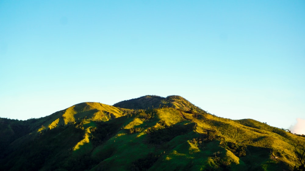昼間の青空に緑と茶色の山