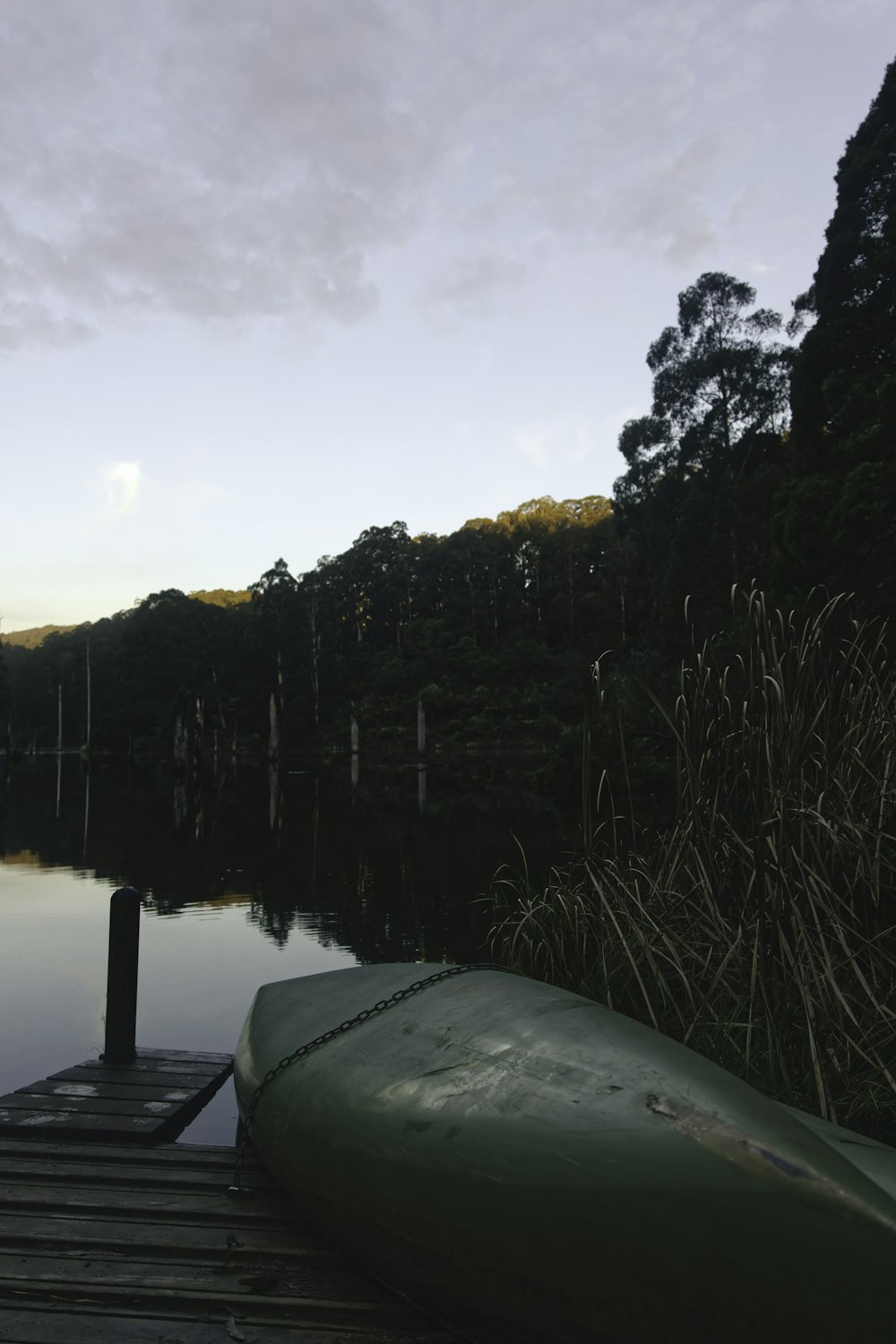 body of water near trees during daytime