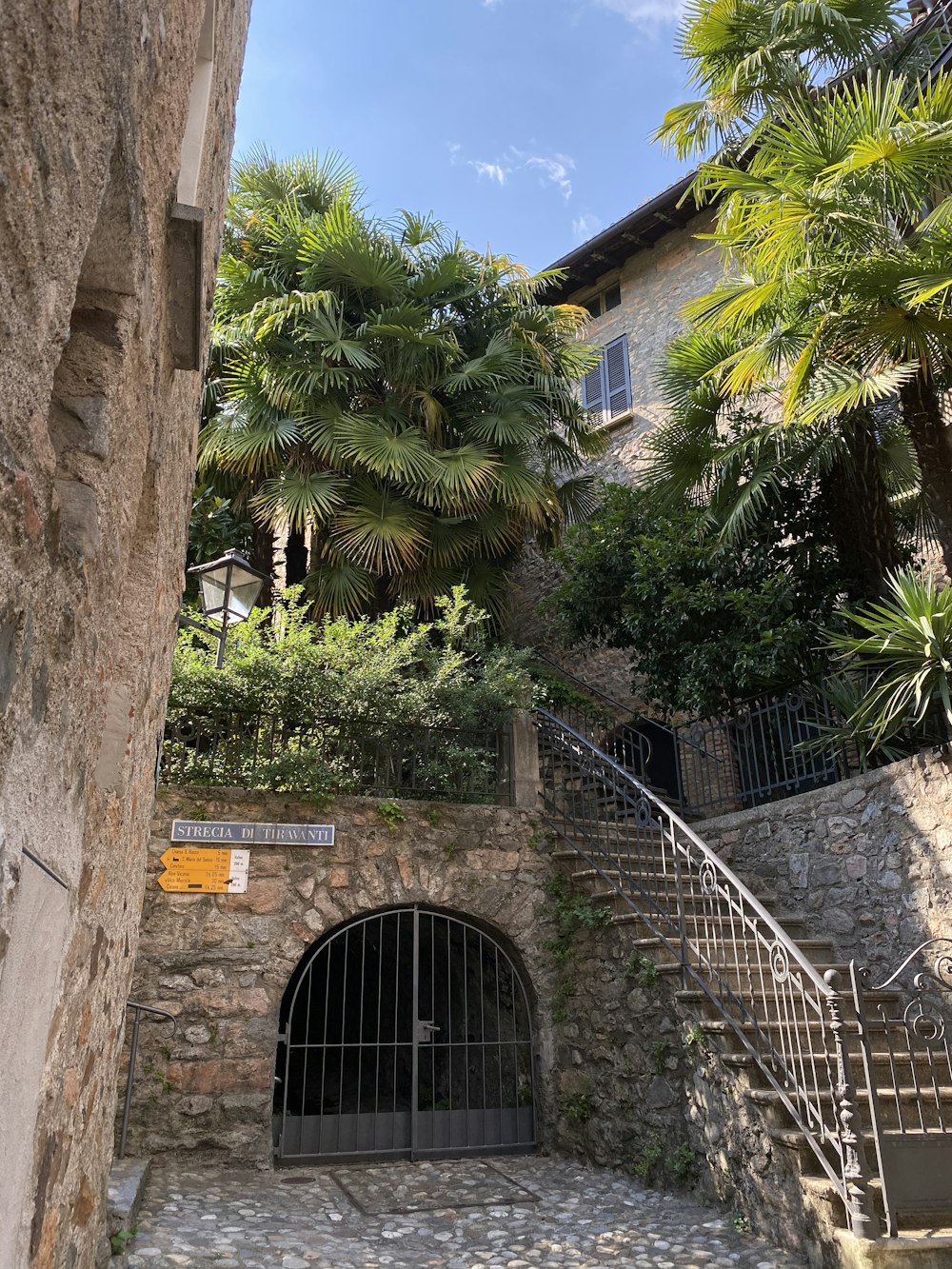 green palm tree beside brown concrete building