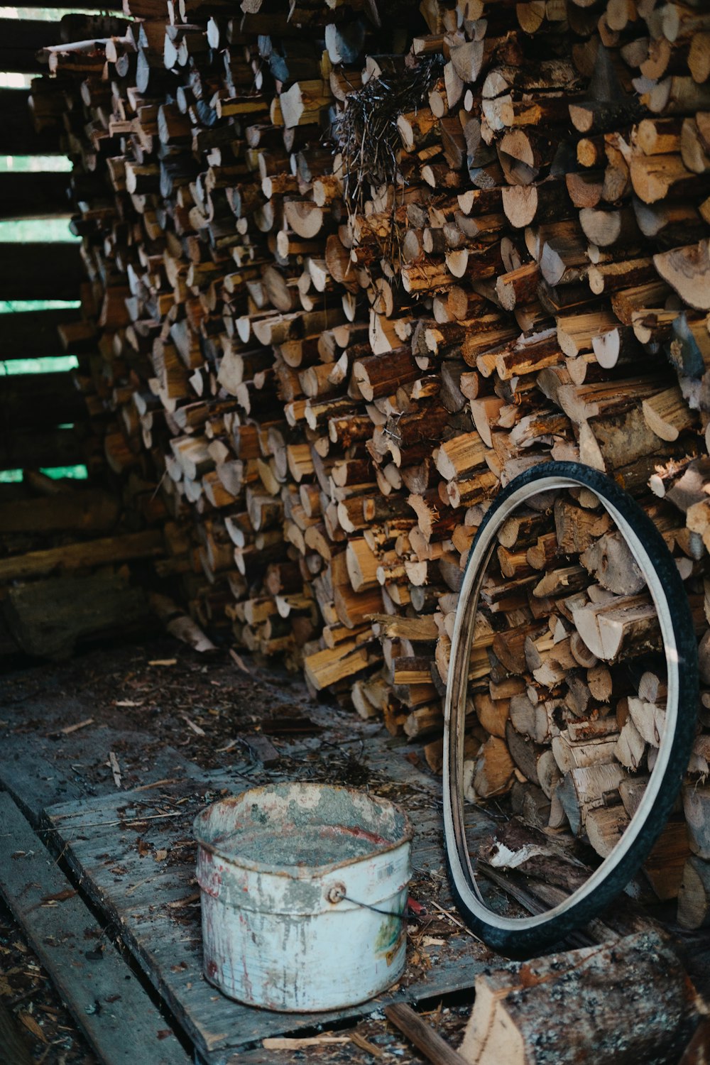 brown wooden logs on gray concrete floor