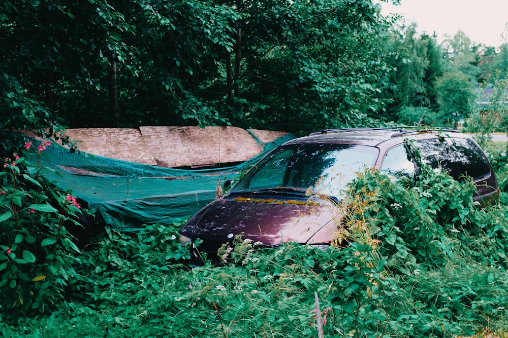 black car parked on green grass field