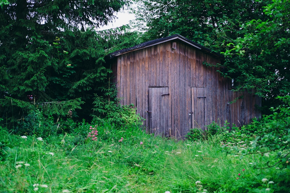 Braunes Holzhaus tagsüber von grünen Bäumen umgeben