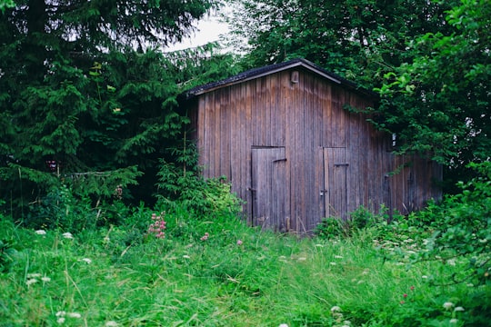 brown wooden house surrounded by green trees during daytime in Orivesi Finland