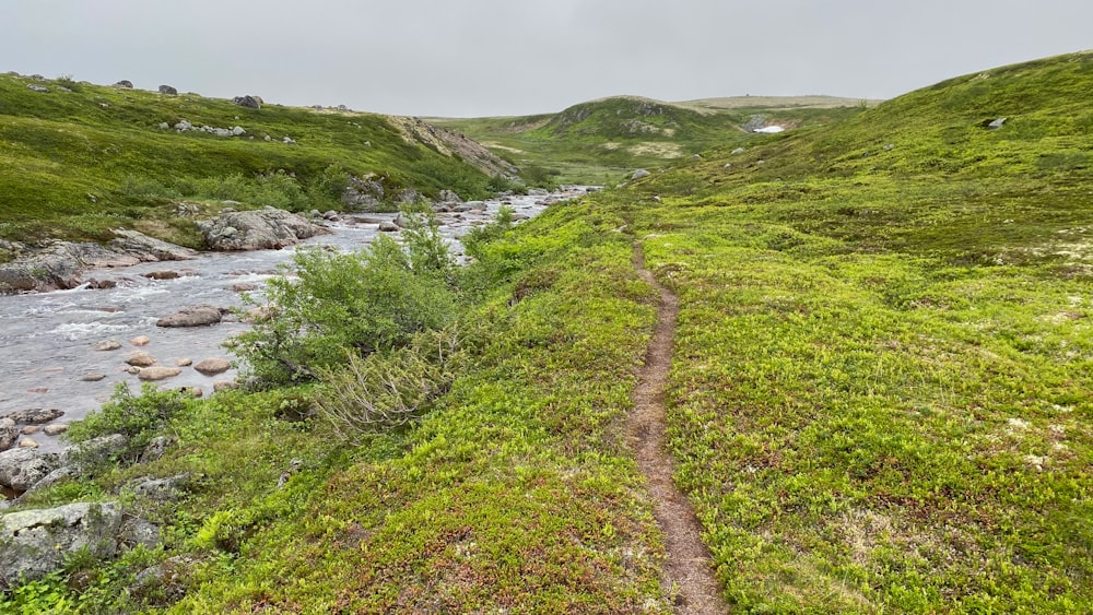 green grass field near river during daytime