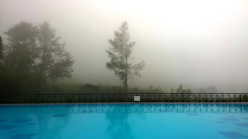 blue swimming pool with trees in the distance